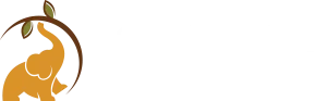 back to roots ayurveda by dr shyam