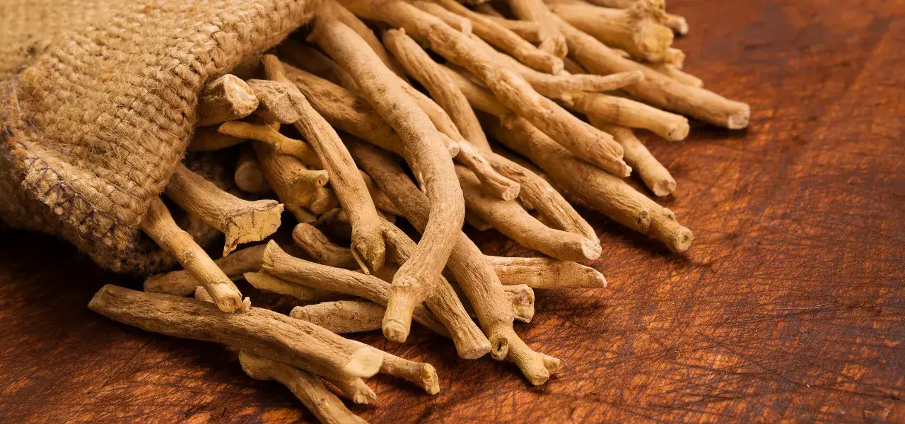 Ashwagandha Rasayana Benefits in Ayurveda for Strength and Rejuvenation