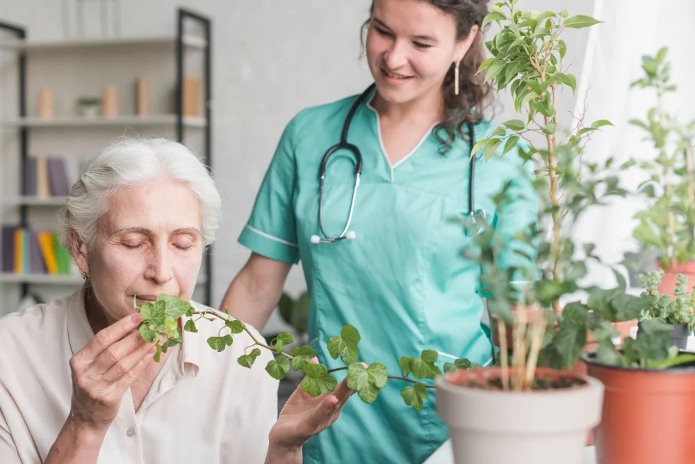 Top 10 Ayurvedic Hospitals in Kerala