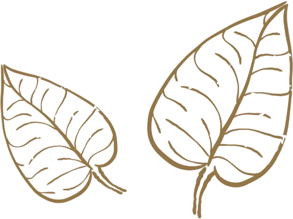 leaf